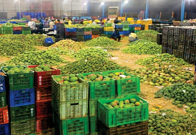 Ayman Global Legacy Gallery