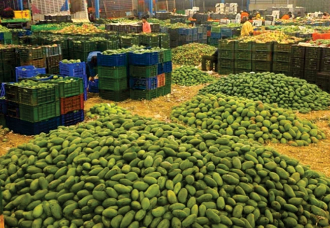 Ayman Global Legacy Gallery