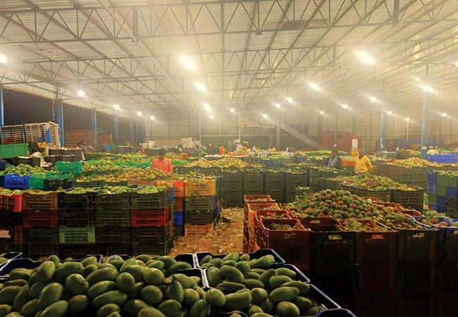 Ayman Global Legacy Gallery